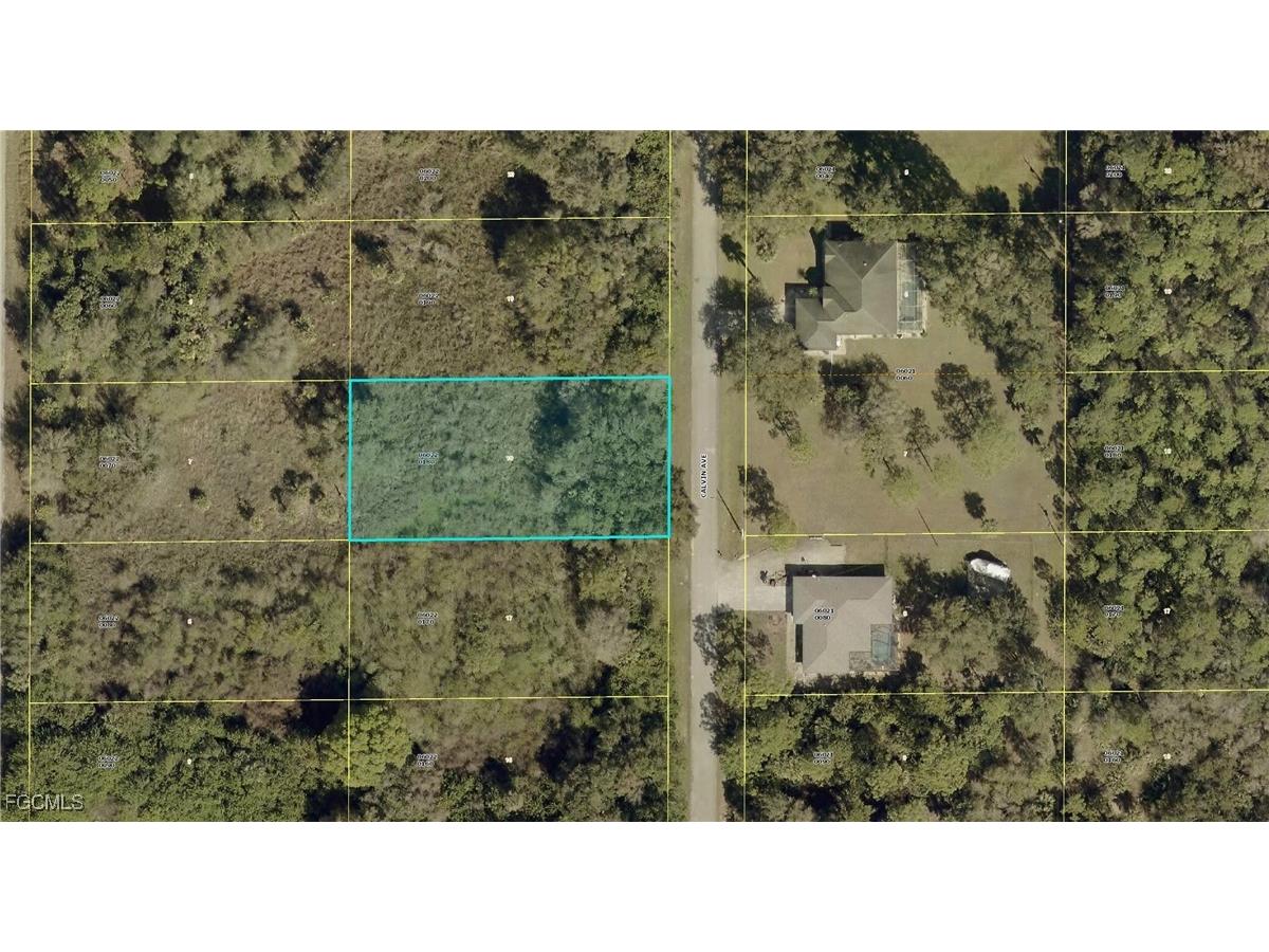 1311 Calvin Avenue Lehigh Acres FL 33972 2026004592 image1