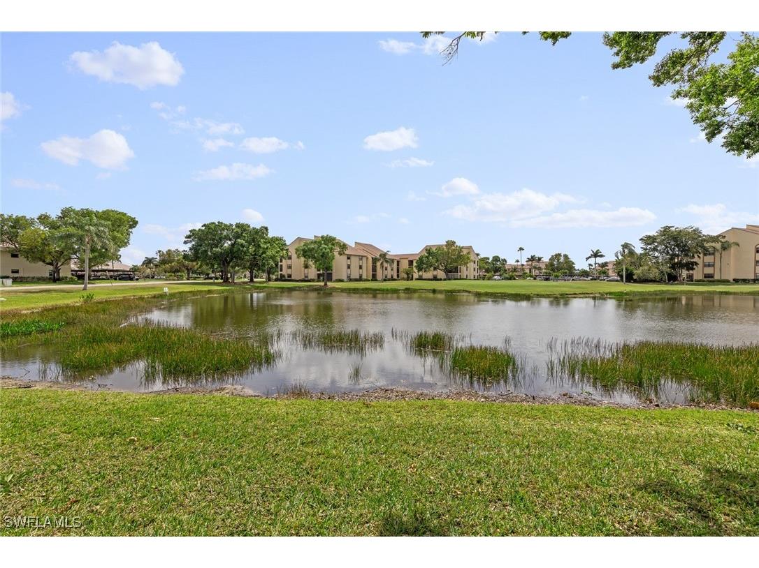 13110 White Marsh Lane #203 Fort Myers FL 33912 225081827 image28