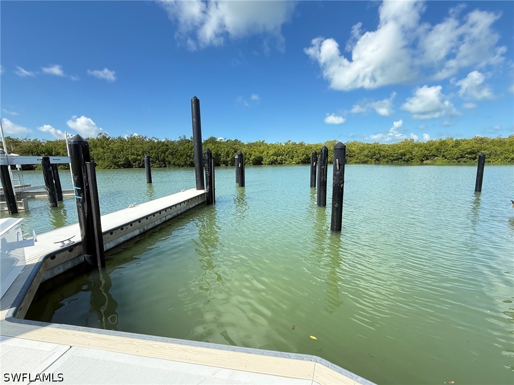 13115 Vanderbilt Road Naples FL 34110 226019647 image5