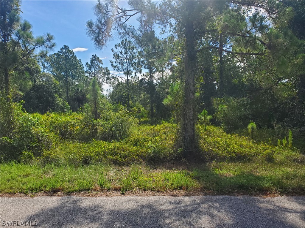 1312 Irving Avenue Lehigh Acres FL 33972 222057255 image1