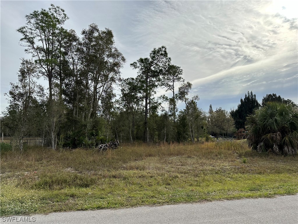 1312 Mcarthur Avenue Lehigh Acres FL 33972 224001511 image1