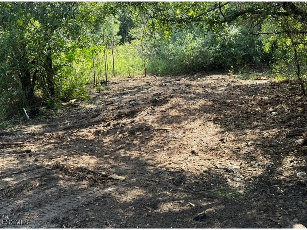 1312 Truman Avenue Lehigh Acres FL 33972 2025021233 image1