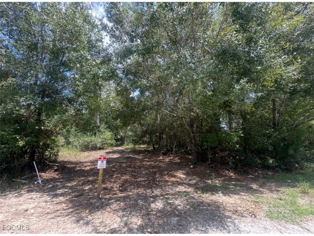 1312 Truman Avenue Lehigh Acres FL 33972 2025021233 image2