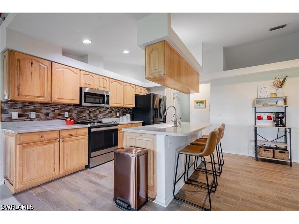13120 Parkline Drive Fort Myers FL 33913 226021634 image8