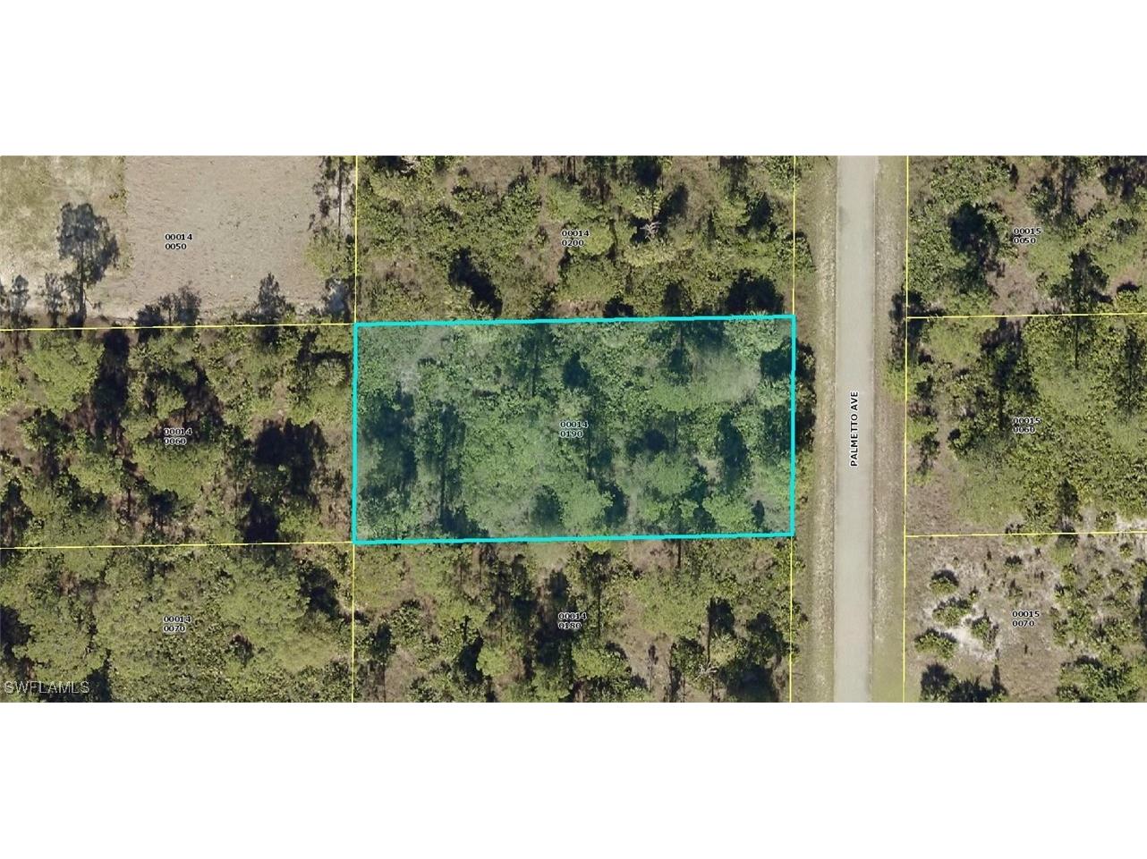 1313 Palmetto Avenue Lehigh Acres FL 33972 226003209 image1