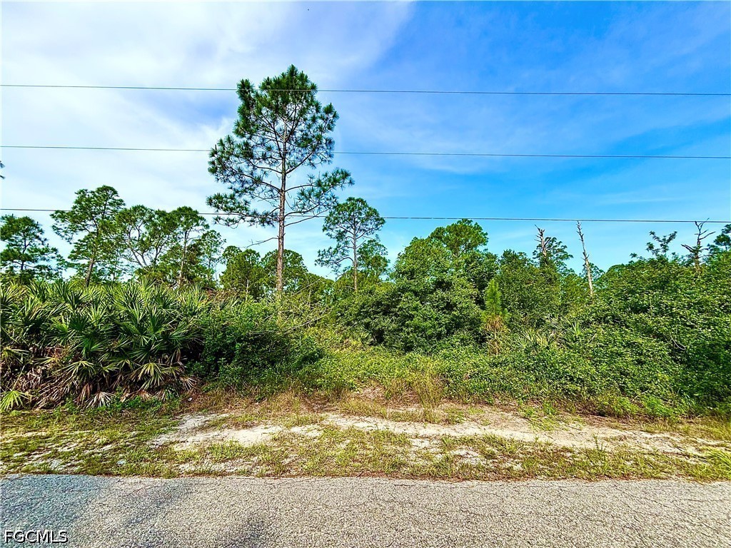 1313 Scott Avenue Lehigh Acres FL 33972 2026021364 image1