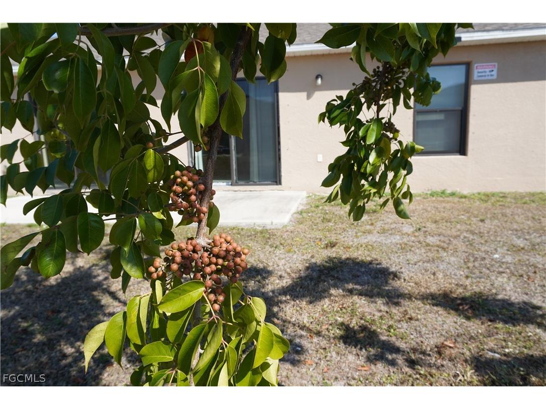 1314/1316 Country Club Boulevard Cape Coral FL 33990 2026007391 image24