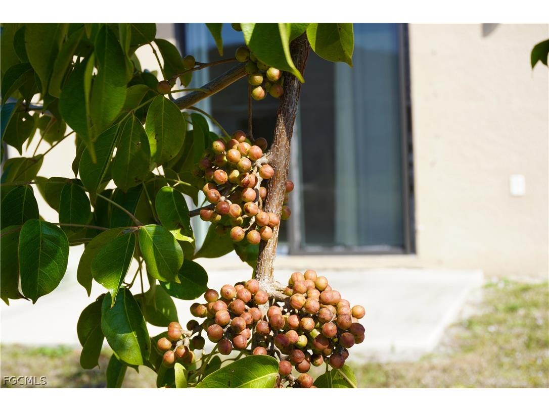 1314/1316 Country Club Boulevard Cape Coral FL 33990 2026007391 image25