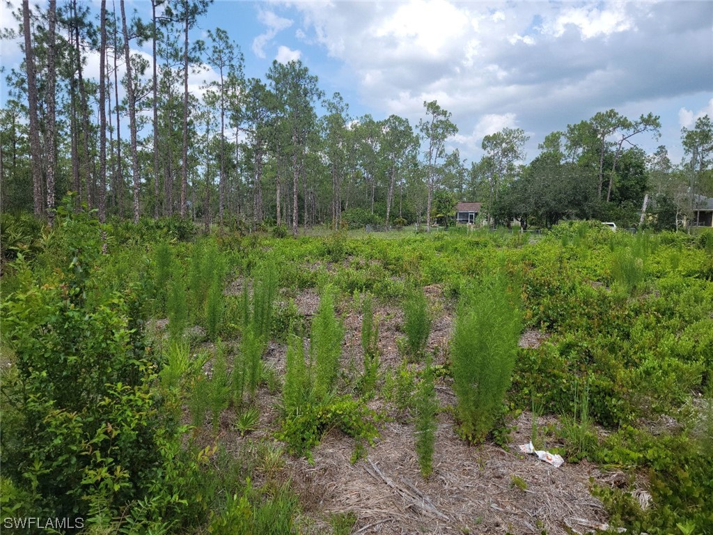1314 Broadway Avenue Lehigh Acres FL 33972 223058668 image1