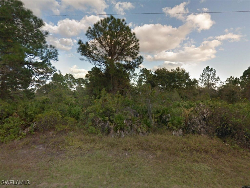 1314 Irving Avenue Lehigh Acres FL 33972 224095938 image1