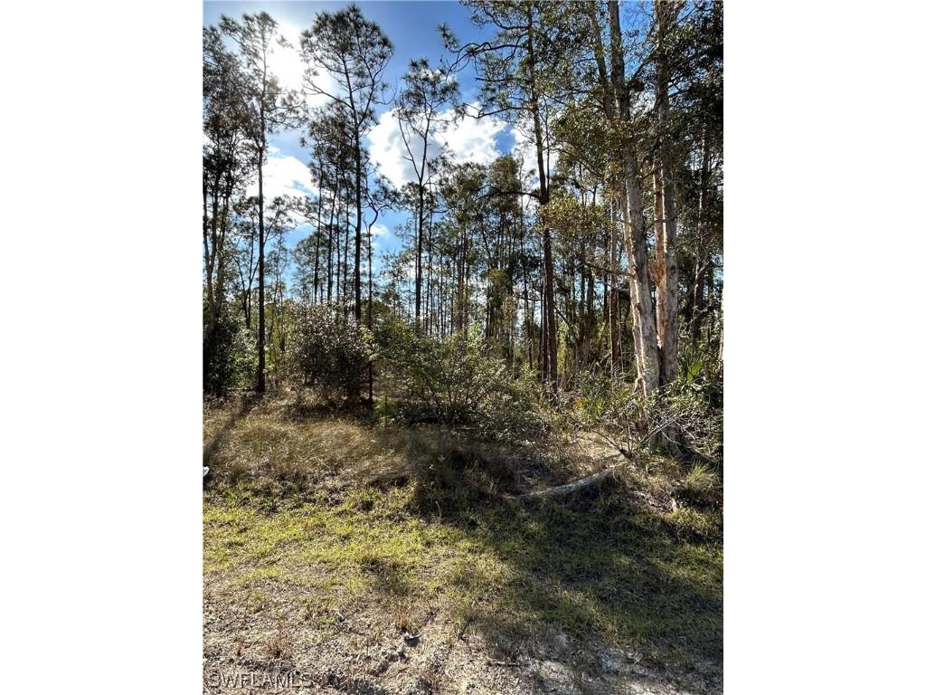 1314 Maple Avenue N Lehigh Acres FL 33972 223013234 image1