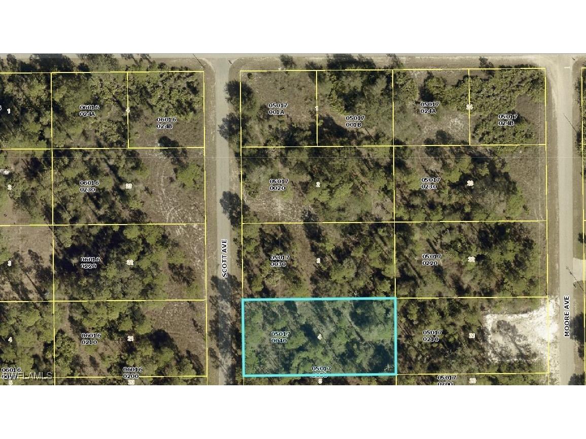 1314 Scott Avenue Lehigh Acres FL 33972 225060955 image2