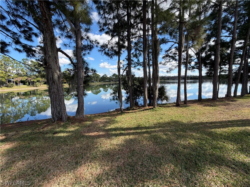 13149 Golden Palms Circle Fort Myers FL 33913 226007669 image2