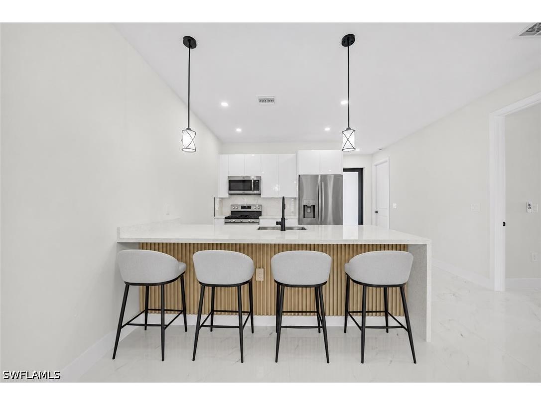 1315/1317 Diplomat Parkway E Cape Coral FL 33909 226025118 image8
