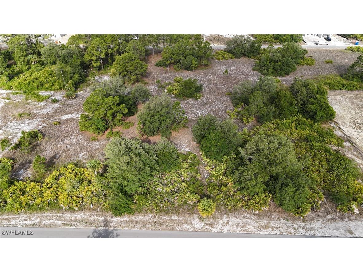 1315 Dixie Avenue Lehigh Acres FL 33972 225042831 image1
