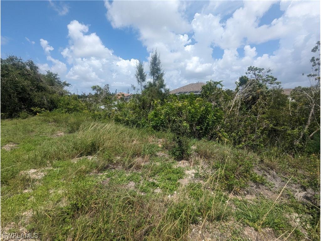 1315 SW 17th Place Cape Coral FL 33991 223058050 image3