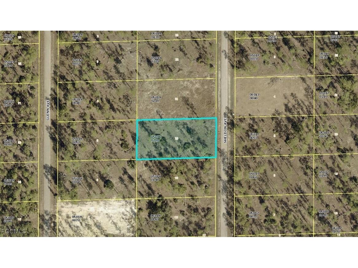 1315 Sheldon Avenue Lehigh Acres FL 33972 2025021154 image2