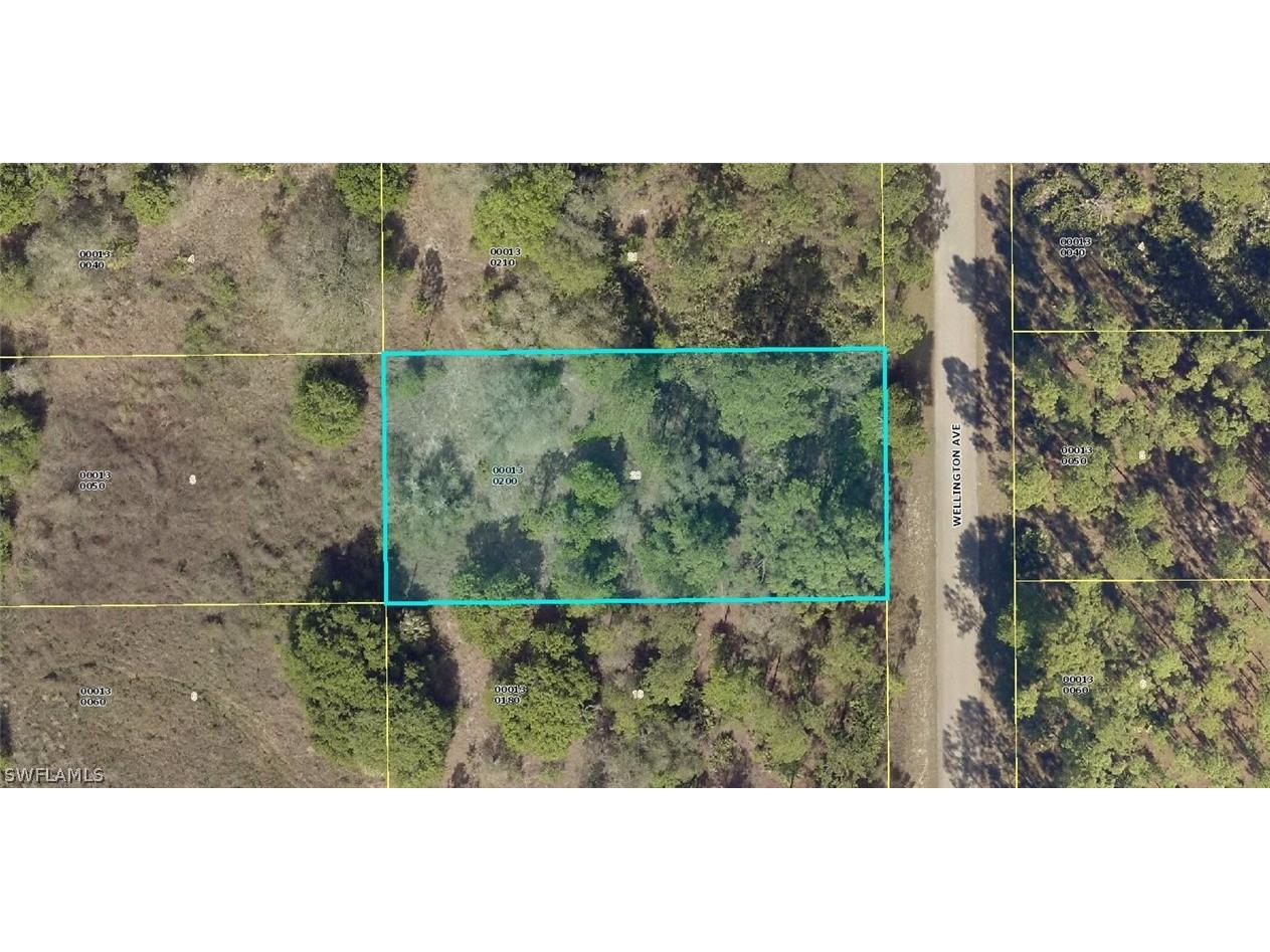 1315 Wellington Avenue Lehigh Acres FL 33972 223007398 image1