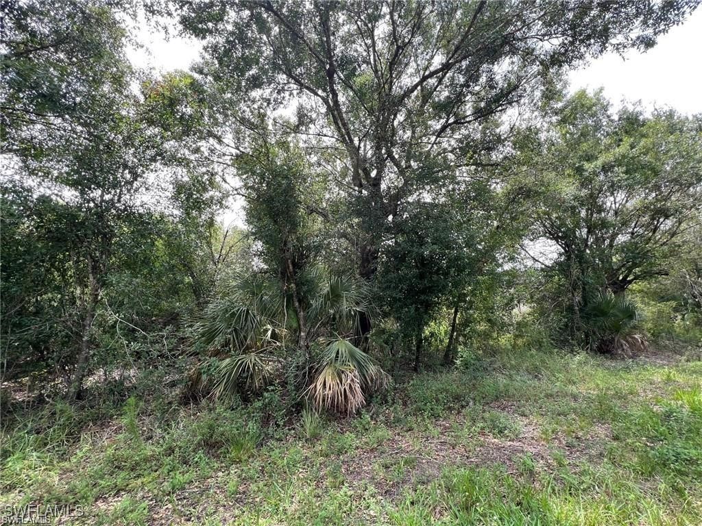 1316 Canton Avenue Lehigh Acres FL 33972 225061523 image2