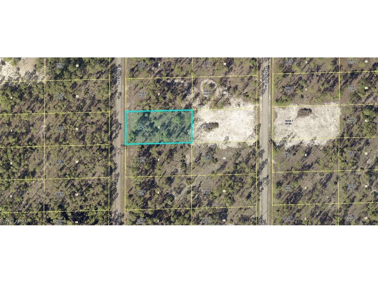 1316 Glenn Avenue Lehigh Acres FL 33972 222089016 image1