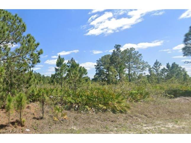 1316 State Avenue Lehigh Acres FL 33972 223048361 image1