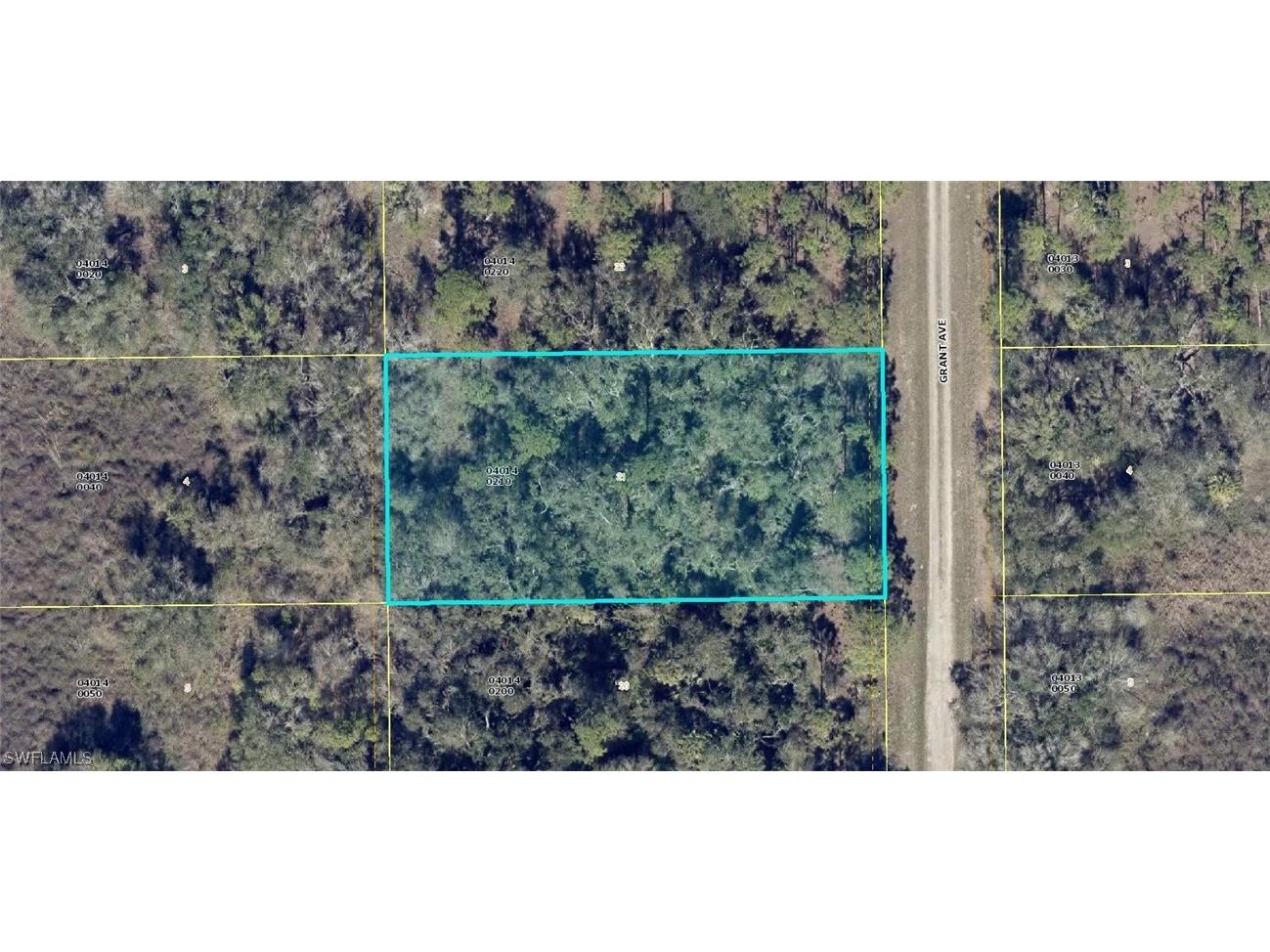 1317 Grant Avenue Lehigh Acres FL 33972 223087974 image1