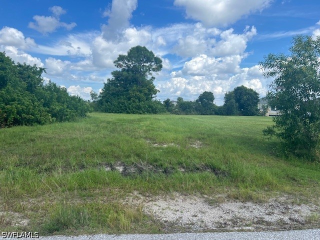 1317 NW 3rd Place Cape Coral FL 33993 226019074 image1