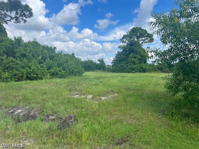 1317 NW 3rd Place Cape Coral FL 33993 226019074 image2