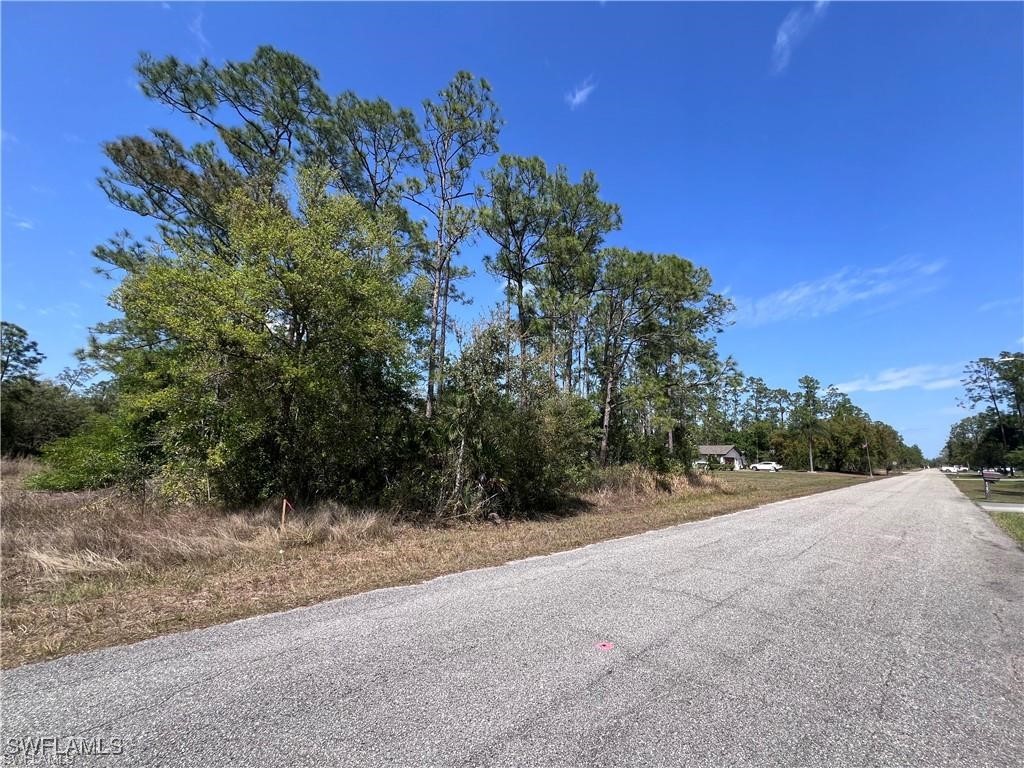 1317 Washington Avenue Lehigh Acres FL 33972 225082410 image2