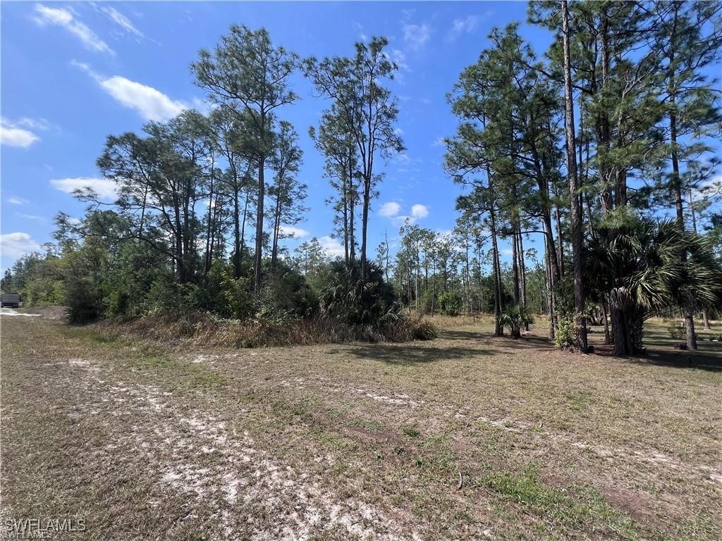 1317 Washington Avenue Lehigh Acres FL 33972 225082410 image3