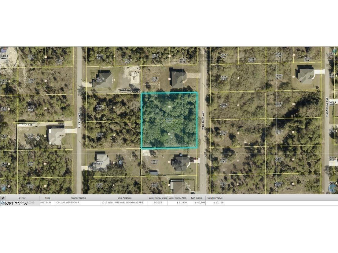1317 Williams Avenue Lehigh Acres FL 33972 226022820 image1