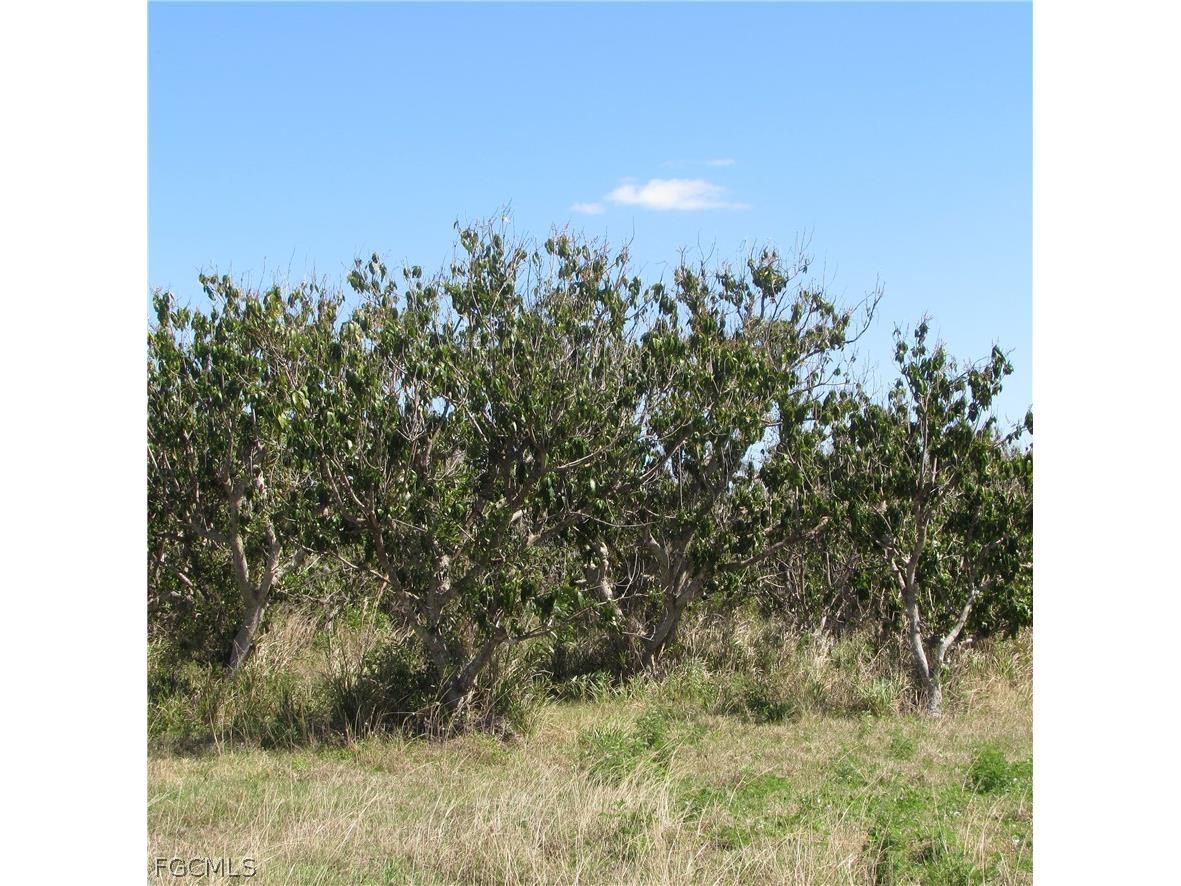 13171 Samadani Lane Bokeelia FL 33922 2026013859 image1