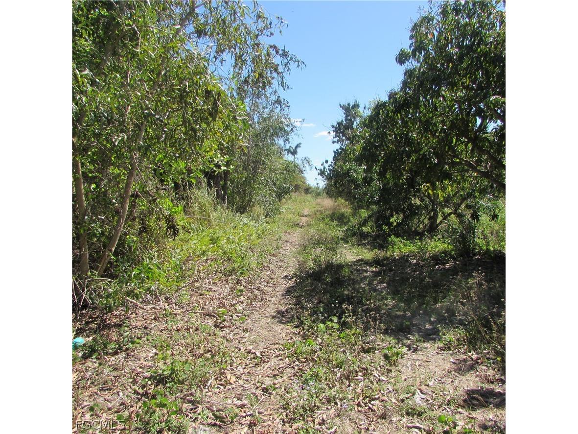 13171 Samadani Lane Bokeelia FL 33922 2026013859 image10