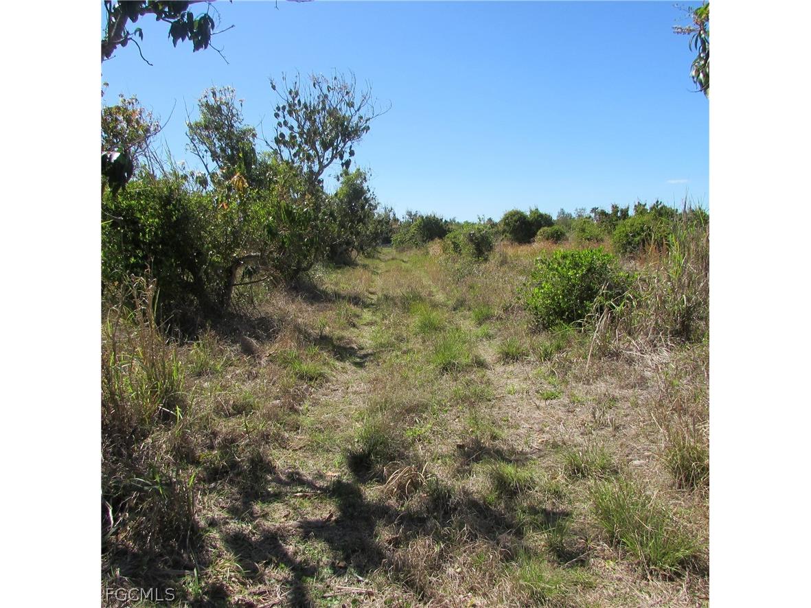 13171 Samadani Lane Bokeelia FL 33922 2026013859 image11