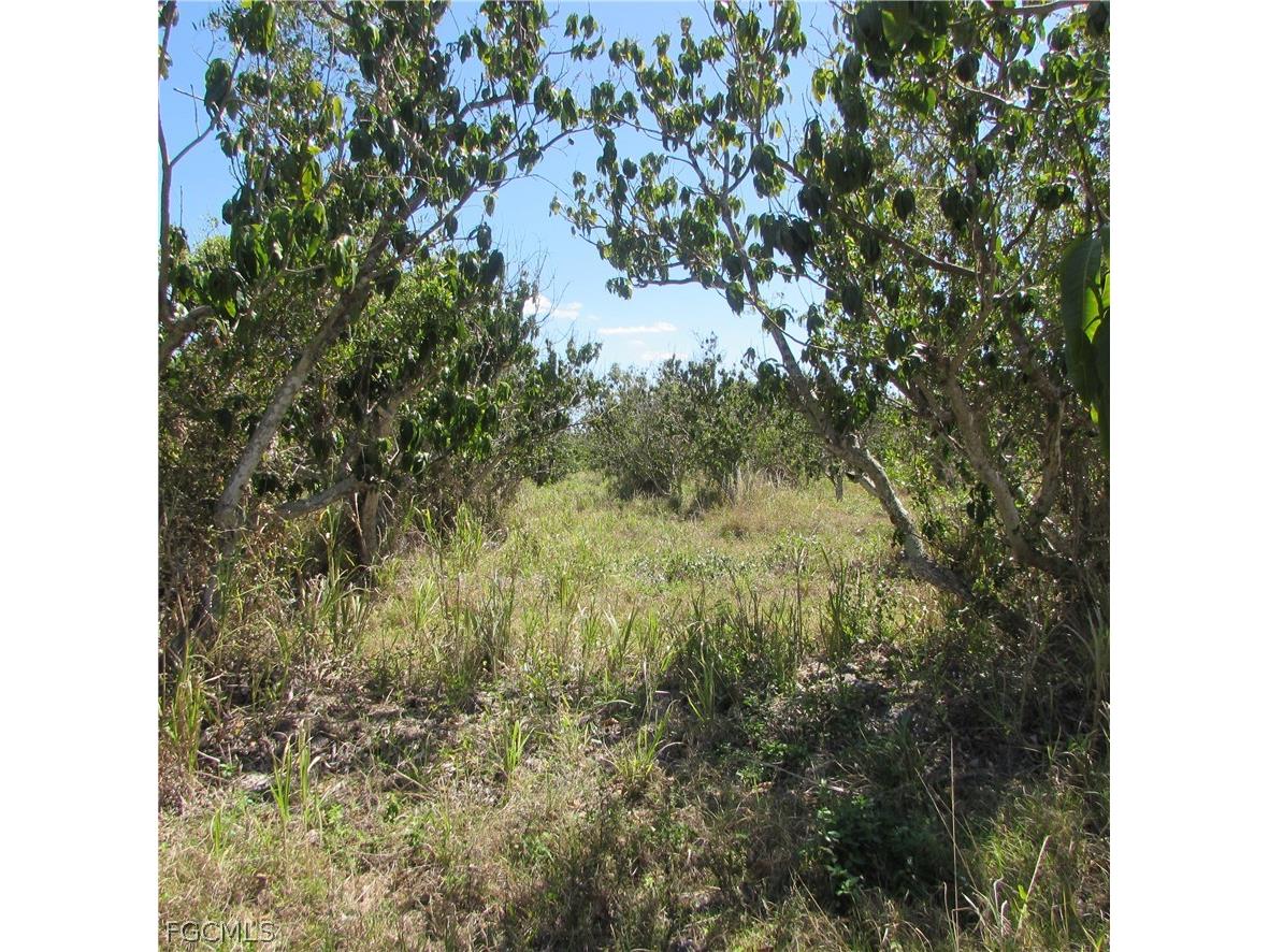 13171 Samadani Lane Bokeelia FL 33922 2026013859 image12