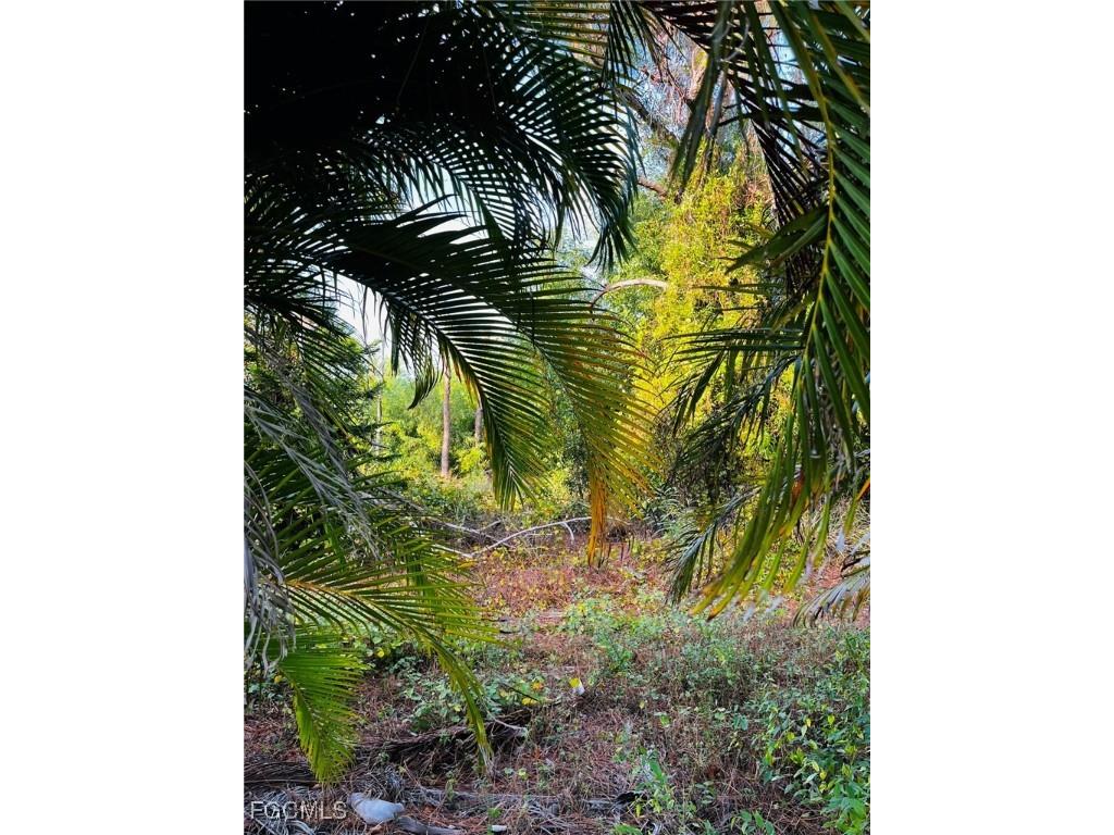 13173 Bottlebrush Road Bokeelia FL 33922 2025022762 image36