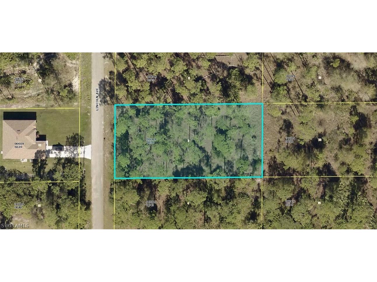 1318 Lincoln Avenue Lehigh Acres FL 33972 222042028 image1