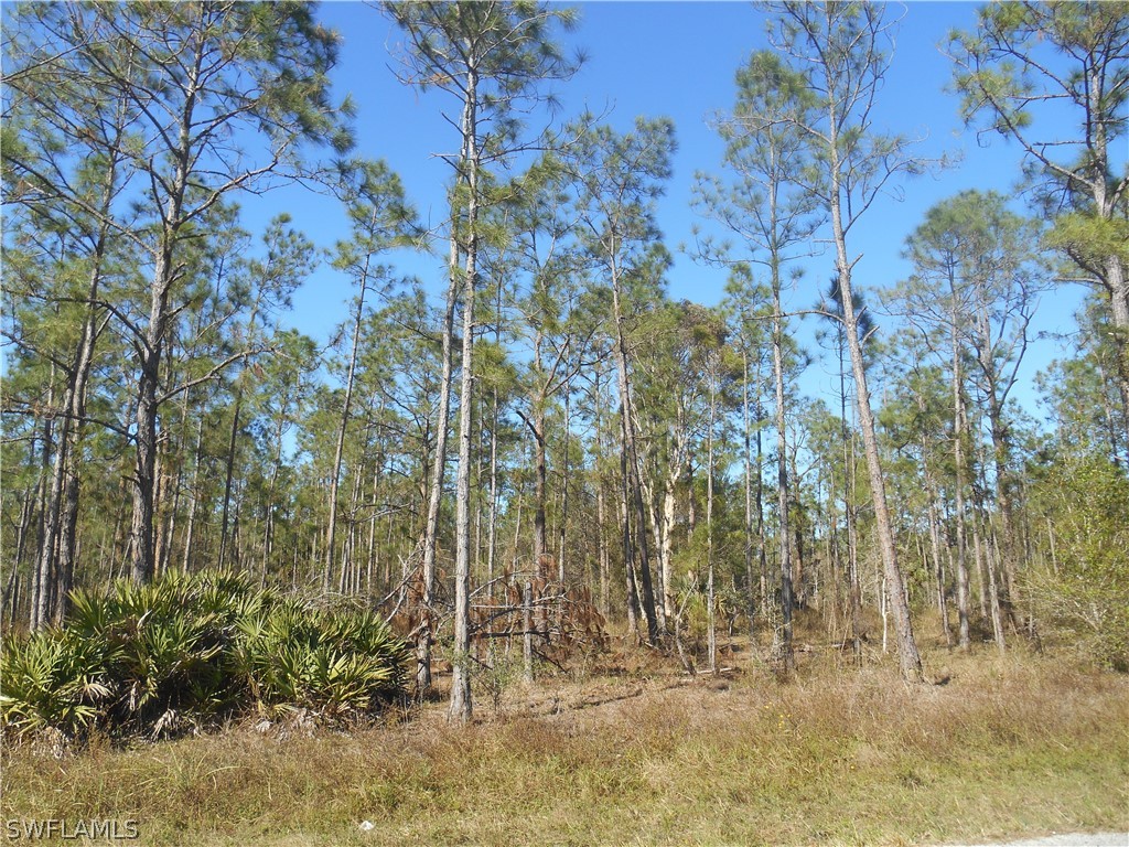 1319 Jackson Avenue Lehigh Acres FL 33972 223007970 image1
