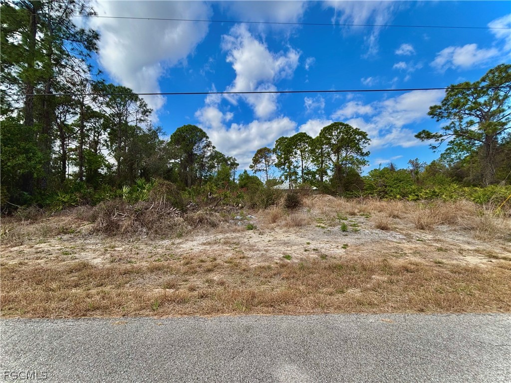 132 Blount Avenue S Lehigh Acres FL 33974 2026010038 image1