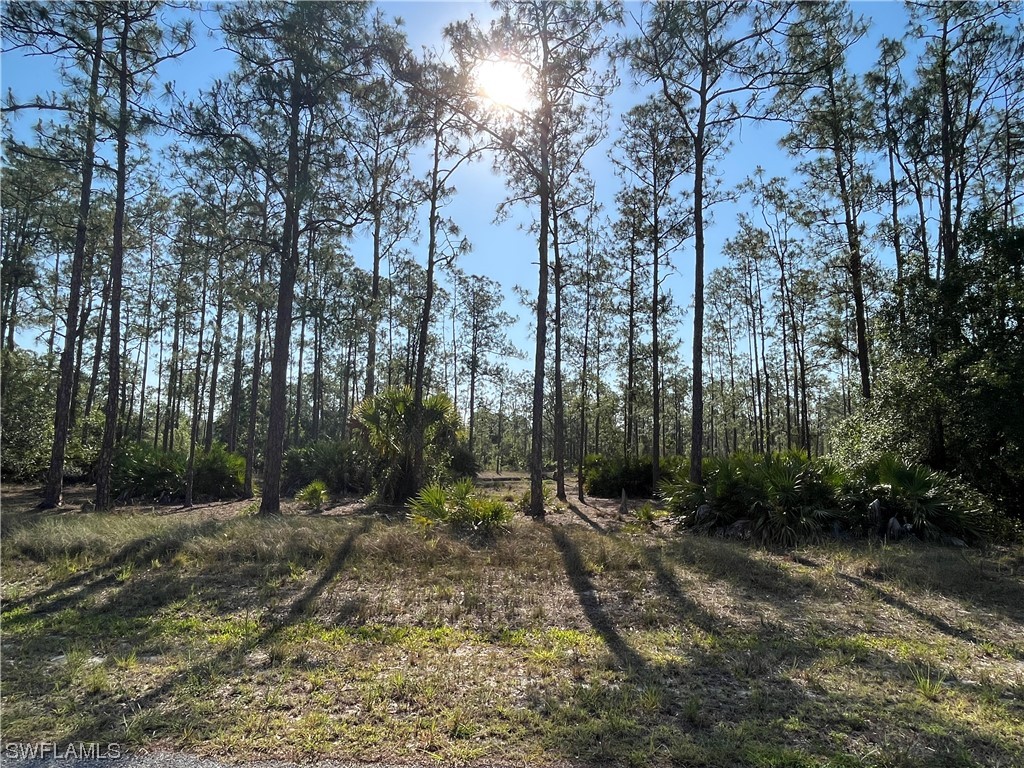 1320 Broadway Avenue Lehigh Acres FL 33972 223035405 image1