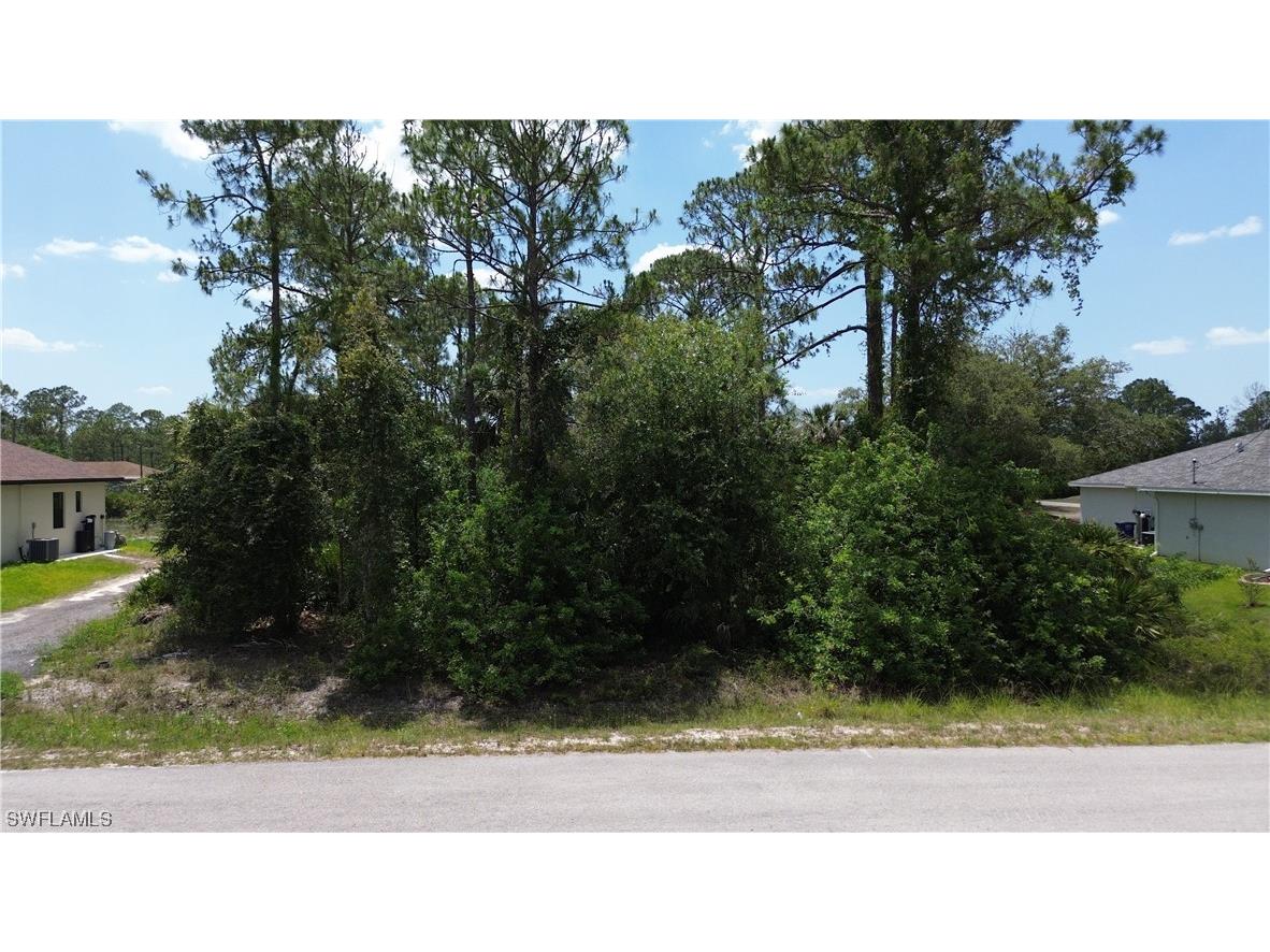 1321 Willard Avenue Lehigh Acres FL 33972 223037155 image1