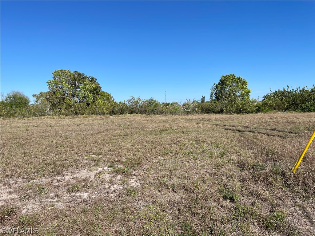 1323 NE 13th Place Cape Coral FL 33909 222022659 image1