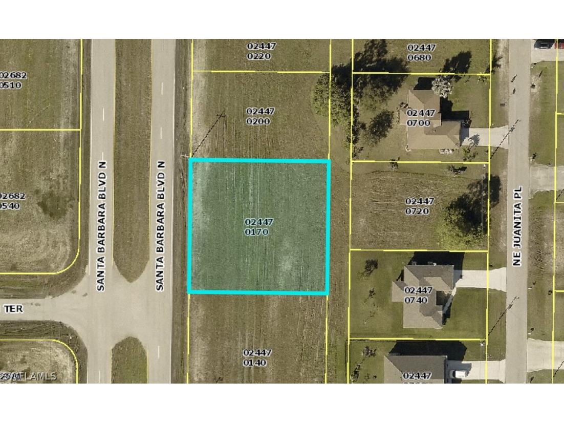 1323 Santa Barbara Boulevard N Cape Coral FL 33993 222029693 image1