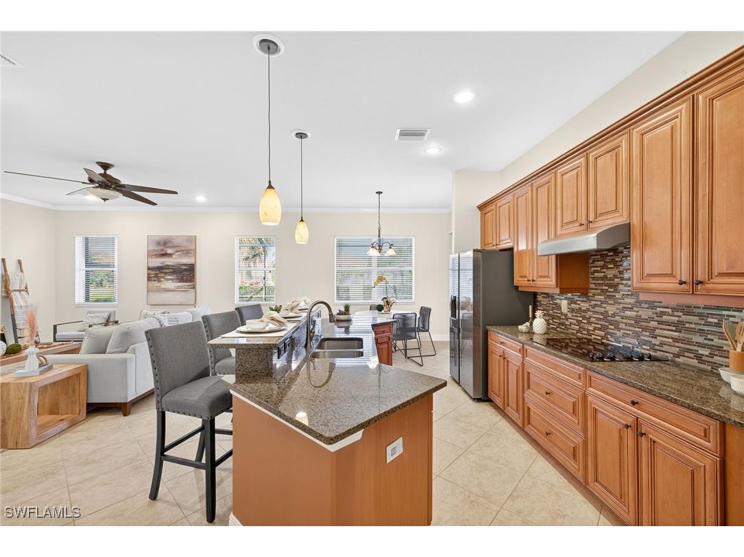 13230 Lazzaro Court Estero FL 33928 225072604 image16