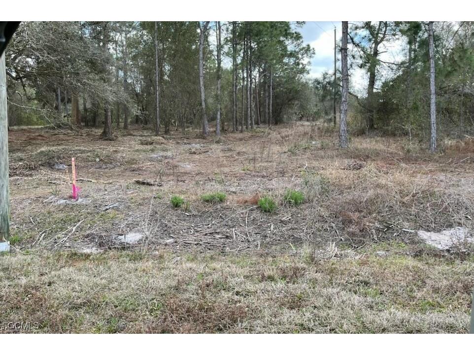 13231 Banyan Drive Punta Gorda FL 33955 2025016701 image1