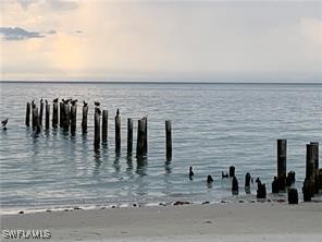 1326 Kendari Terrace Naples FL 34113 225041447 image38