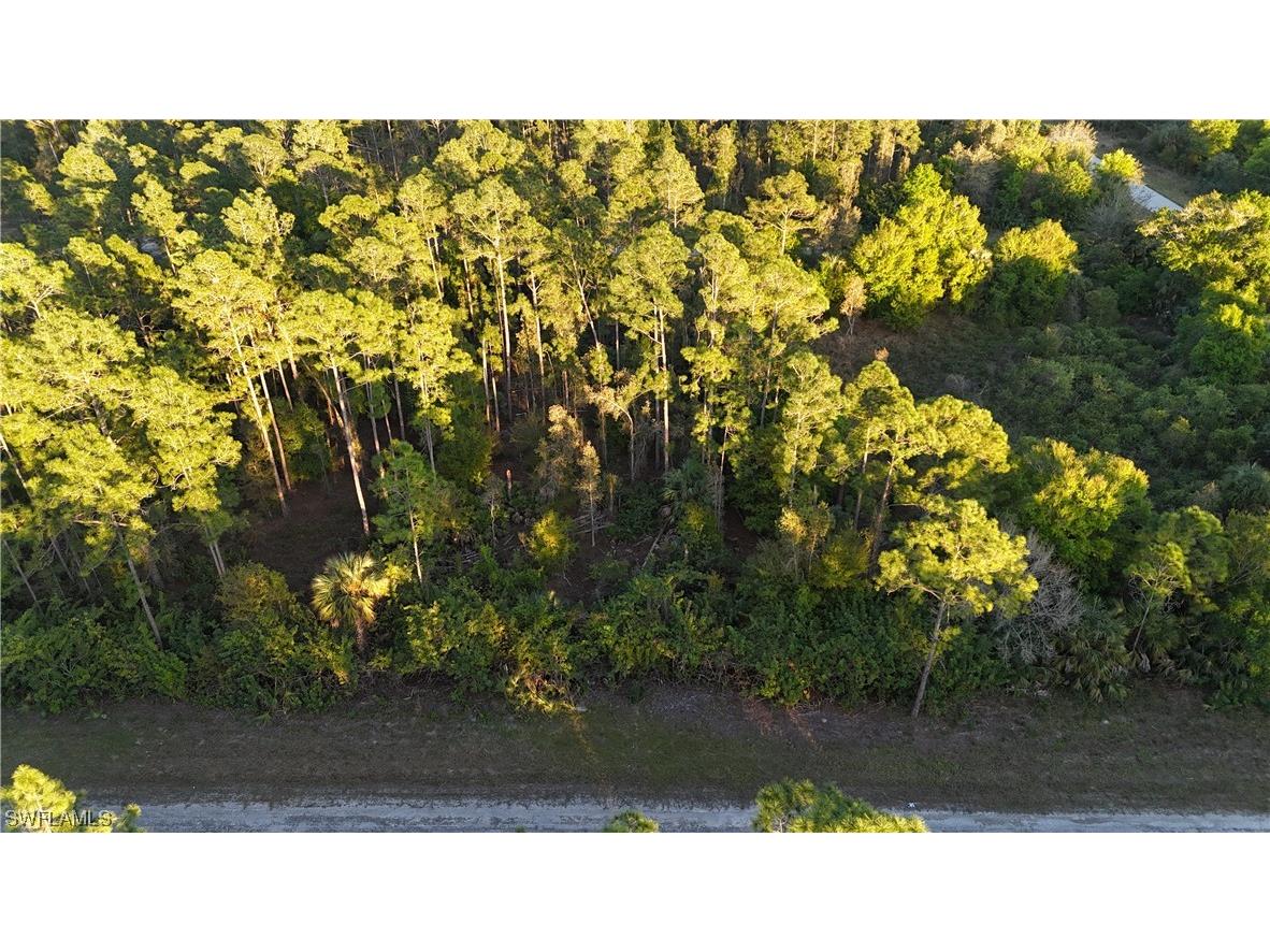 133 Nassau Avenue S Lehigh Acres FL 33974 224010965 image1