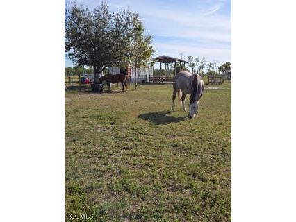 13300 Morningstar Lane Bokeelia FL 33922 2025010121 image11