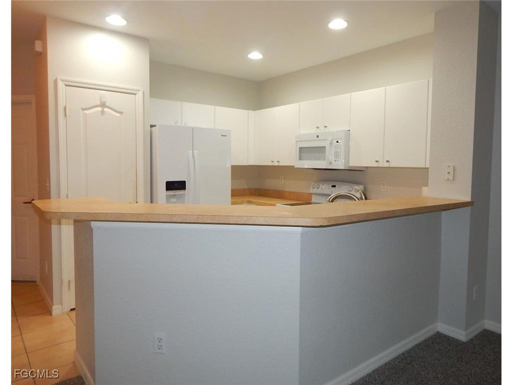 1334 Weeping Willow Court Cape Coral FL 33909 2025022032 image5