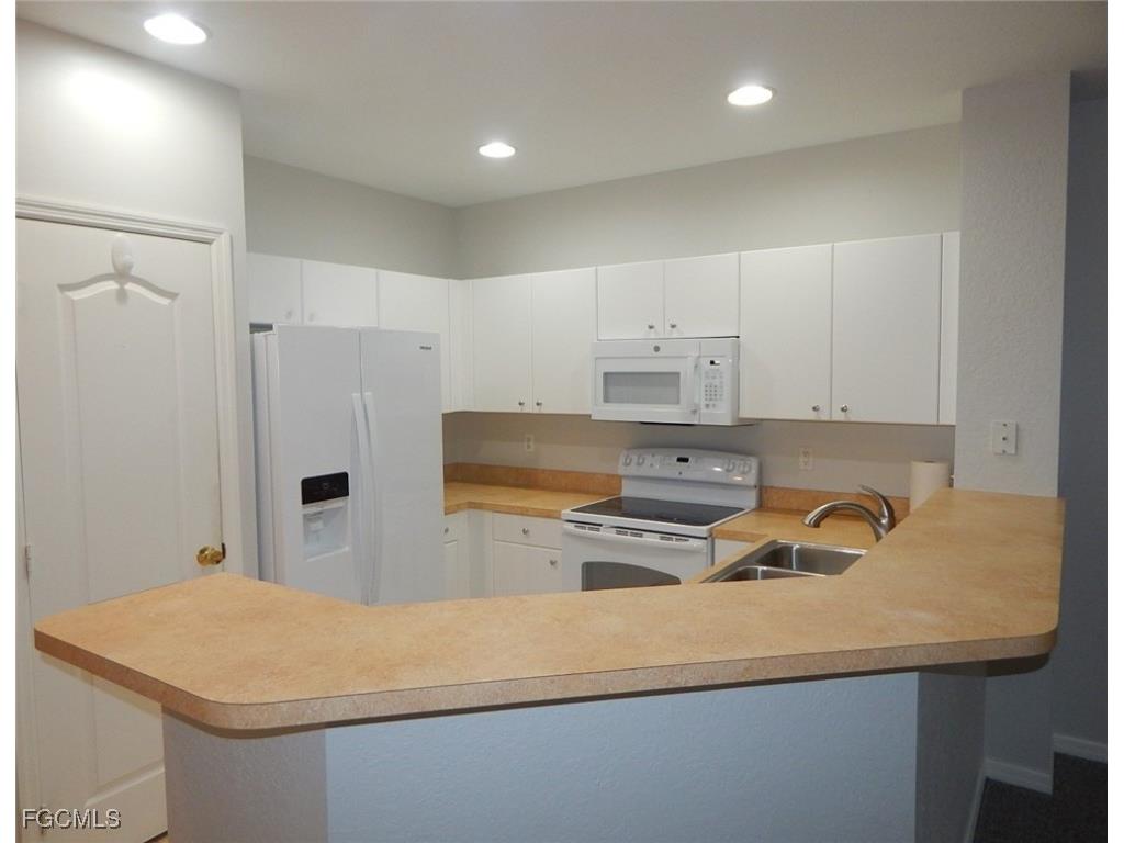 1334 Weeping Willow Court Cape Coral FL 33909 2025022032 image6